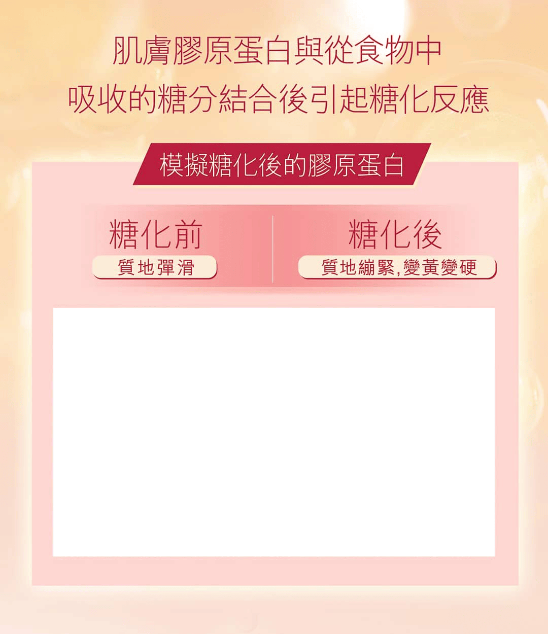 肌膚膠原蛋白與食物中吸收的糖份結合後引起糖化反應